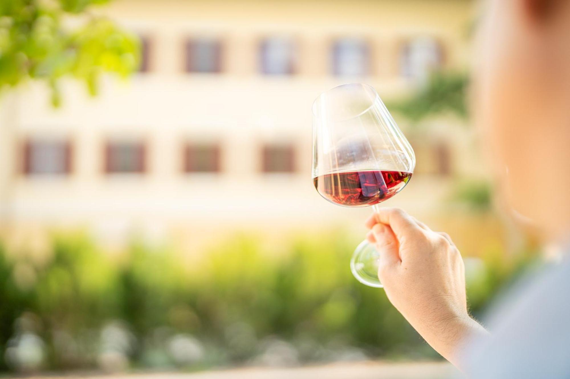Castel Sallegg Suites Adults Only Caldaro Ngoại thất bức ảnh
