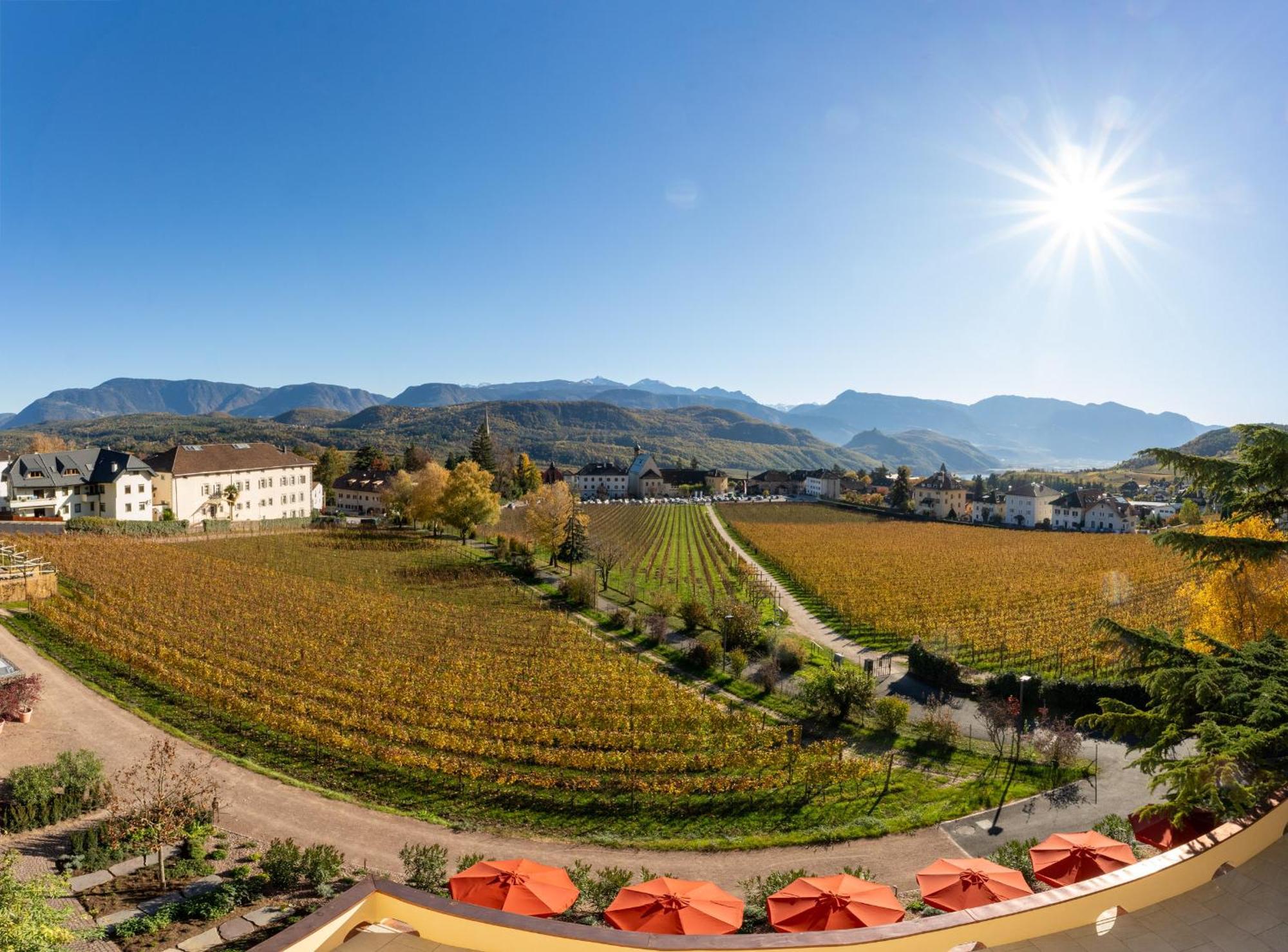 Castel Sallegg Suites Adults Only Caldaro Ngoại thất bức ảnh